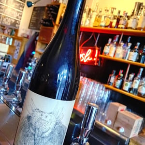 Cabernet Franc - Michto Vino - florent-sabourin-marc-levent-eric-tachin
