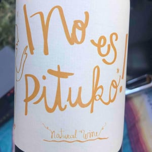 No Es Pituko Cabernet Franc - Viña Echeverría - Quasar Wines - roberto-viviana-paulina-diego-echeverria