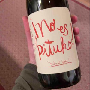 Cabernet Franc - Viña Echeverría - Quasar Wines [BIO_ORGANIC] - roberto-viviana-paulina-diego-echeverria