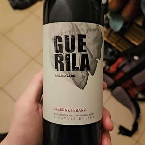 Cabernet franc selection - Guerila - Zmagoslav Petrič 