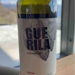 Cabernet franc selection - Guerila - zmagoslav-petric