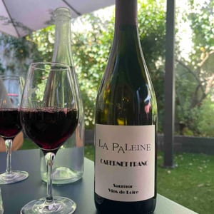 Cabernet Franc - Domaine De La Paleine - jean-louis-bernet-ex-laurence-et-marc-vincent