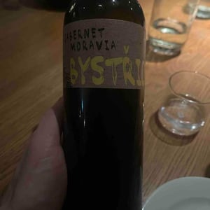 Cabernet Moravia - Vinařství Bystřický - vojta-anicka-bystricky -2018
