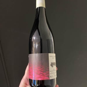 Cabernet Sauvignon - Domaine Finot - Thomas Finot 