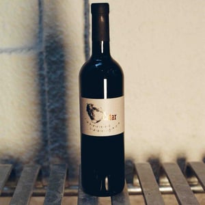 Cabernet Sauvignon - Čotar - branko-vasja-cotar