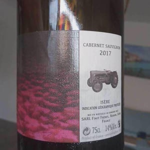 Cabernet Sauvignon - Domaine Finot - Thomas Finot 