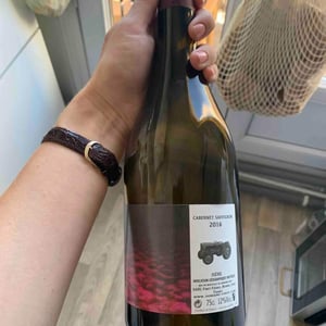 Cabernet Sauvignon - Domaine Finot - thomas-finot