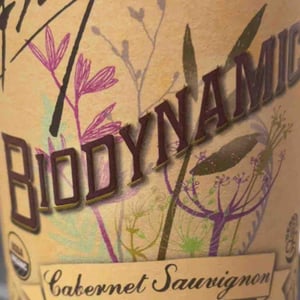 Cabernet Sauvignon - Frey Vineyards - Jonathan Frey 