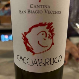 Cacciabruco 2021 - Cantina San Biagio Vecchio - Lucia Ziniti & Andrea Balducci -2021
