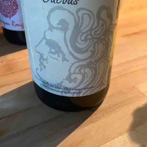 Càcous - Domaine Mouressipe - Pierre Saakovidi 