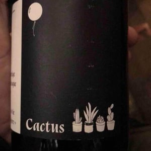 Cactus - Les Infiltrés - frederic-hauss -2021