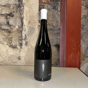 Cadence 2020 - Domaine Gross - remy-vincent-gross
