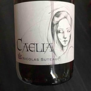 Caelia - Nicolas Suteau - nicolas-suteau