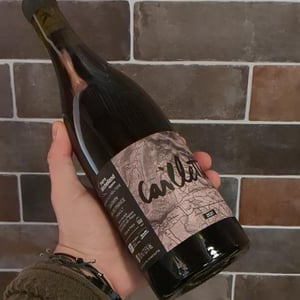 Caillette - la Réaltière - pierre-sylvia-michelland