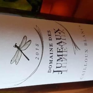 Cailloux Blancs - Domaine des Jumeaux - maryline-jean-marc-tard