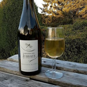 Cailloux Blancs - Domaine des Jumeaux - Maryline & Jean-Marc Tard 