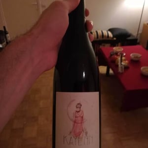 Domaine Calvez-Bobinet - Sébastien Bobinet & Emeline Calvez - Kayenn