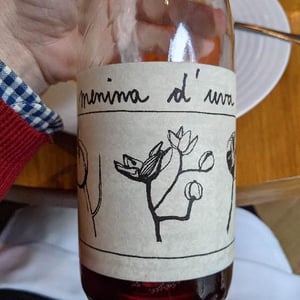 Menina D'Uva - Aline Domingues - Ciste