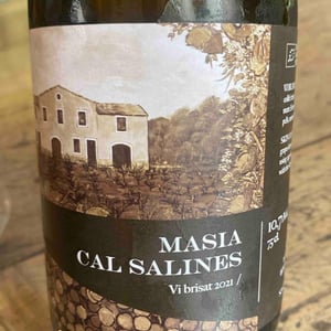 Masia Cal Salines - Cal Teixidor - Josep Casañas 