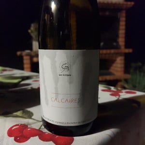 Calcaires - Clos des Grillons - nicolas-renaud -2021