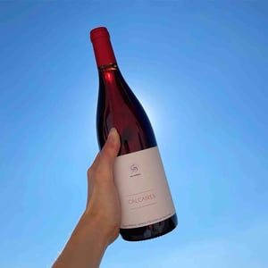 Calcaires - Clos des Grillons - Nicolas Renaud 