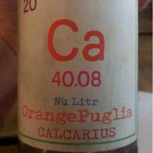 Calcarius Bianco Puglia - Valentina Passalacqua - valentina-passalacqua