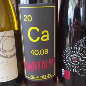 Calcarius Brutal - Valentina Passalacqua - Valentina Passalacqua 