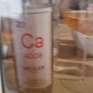 Calcarius Hellen Rose - Valentina Passalacqua - Valentina Passalacqua -2020