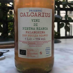 Calcarius Orange Puglia - Valentina Passalacqua - Valentina Passalacqua 