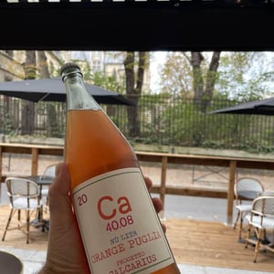 Calcarius Orange Puglia - Valentina Passalacqua - Valentina Passalacqua 