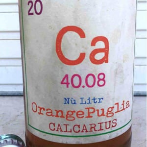 Valentina Passalacqua - Valentina Passalacqua - Calcarius Orange Puglia