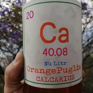Calcarius Orange Puglia 2020