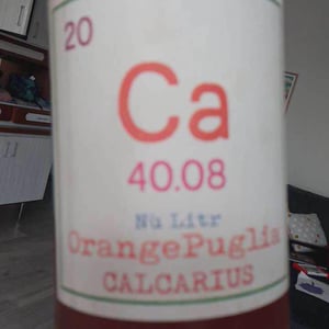 Valentina Passalacqua - Valentina Passalacqua - Calcarius Orange Puglia