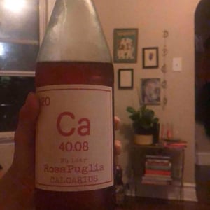 Calcarius Rosa Puglia - Valentina Passalacqua - valentina-passalacqua