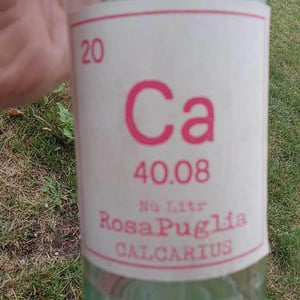 Valentina Passalacqua - Valentina Passalacqua - Calcarius Rosa Puglia