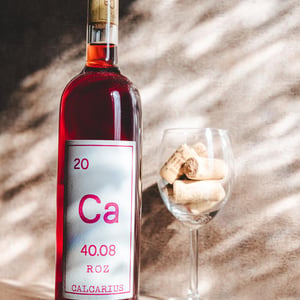 Calcarius Roz - Valentina Passalacqua - valentina-passalacqua