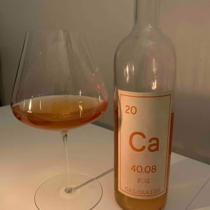 Calcarius Fos - Valentina Passalacqua - Valentina Passalacqua 