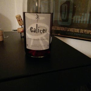Calice 2016