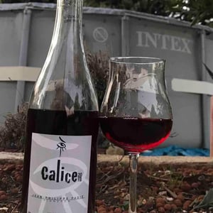 Calice - Domaine Jean-Philippe Padié - Jean-Philippe Padié 