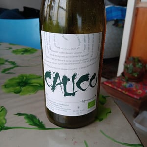 Calico 2021