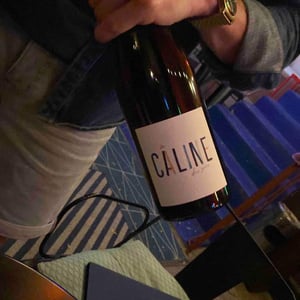 Caline - Domaine des Blaquieres - clement-bernard -2022