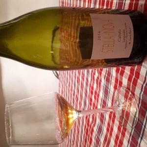 Stella Nova - Philippe Richy - Callisto