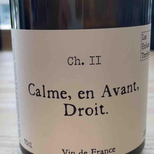 Calme en Avant Droit - Les Enfants Terribles - jean-sarah-fallay