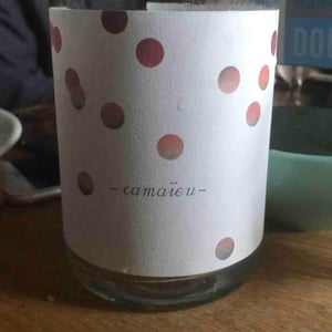 Camaïeu - Domaine Des Deux Moulins - x -2021