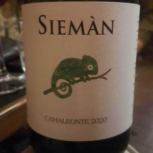 Camaleonte - Siemàn - Marco, Daniele, Andrea Filippini 