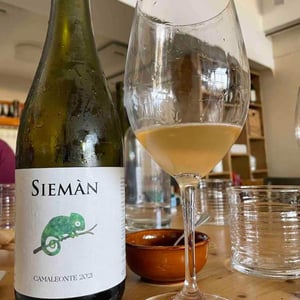 Camaleonte - Siemàn - Marco, Daniele, Andrea Filippini 