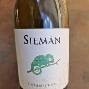 Camaleonte - Siemàn - Marco, Daniele, Andrea Filippini 