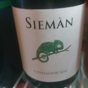 Camaleonte - Siemàn - marco-daniele-andrea-filippini