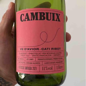 Ve d'Avior - Cati Ribot - Cambuix