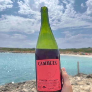 Ve d'Avior - Cati Ribot - Cambuix